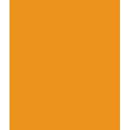 POLI-FLEX NYLON yellow PF4810 š.50cm