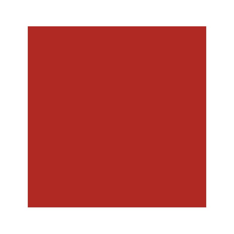 POLI-FLEX NYLON red PF 4808 š.50cm