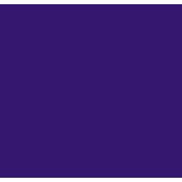 POLI-FLEX NYLON violet PF4814 š.50cm