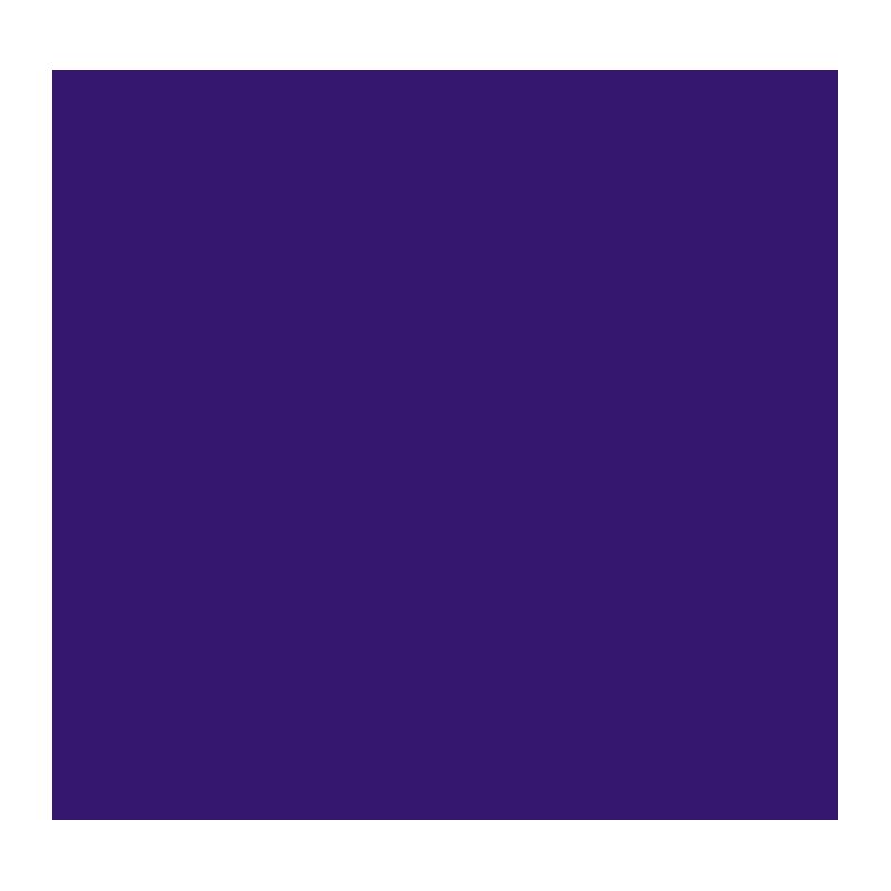 POLI-FLEX NYLON violet PF4814 š.50cm