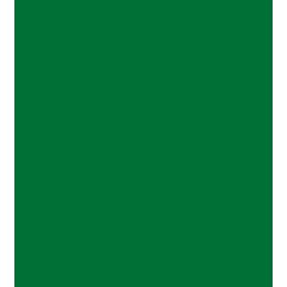 POLI-FLEX NYLON green PF4804 š.50cm