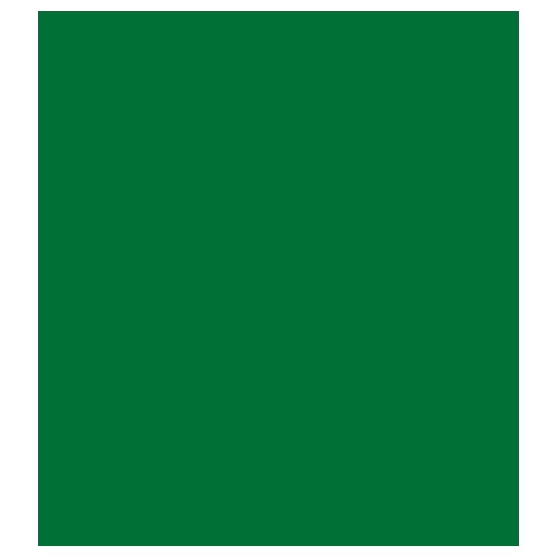 POLI-FLEX NYLON green PF4804 š.50cm