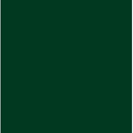 POLI-FLEX NYLON forest green PF4807 š.50cm