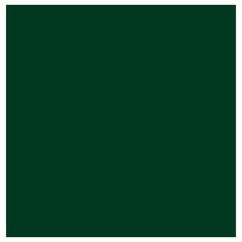POLI-FLEX NYLON forest green PF4807 š.50cm