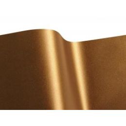 iSEE2 71.801ACT Autumn Gold matná