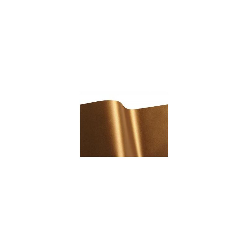 iSEE2 71.801ACT Autumn Gold matná