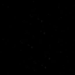 Oracal 651- 070 Black š. 0,63 m
