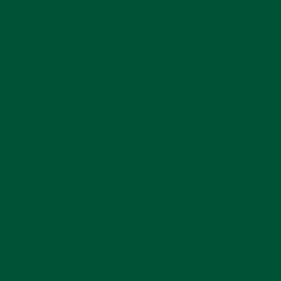 Oracal 651-613 Forest Green š. 1,26 m