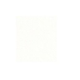 Oracal 970RA-010 white š.1,52m