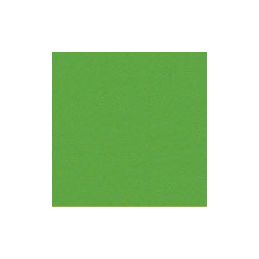 Oracal 970RA-486 tree green š.1,52m