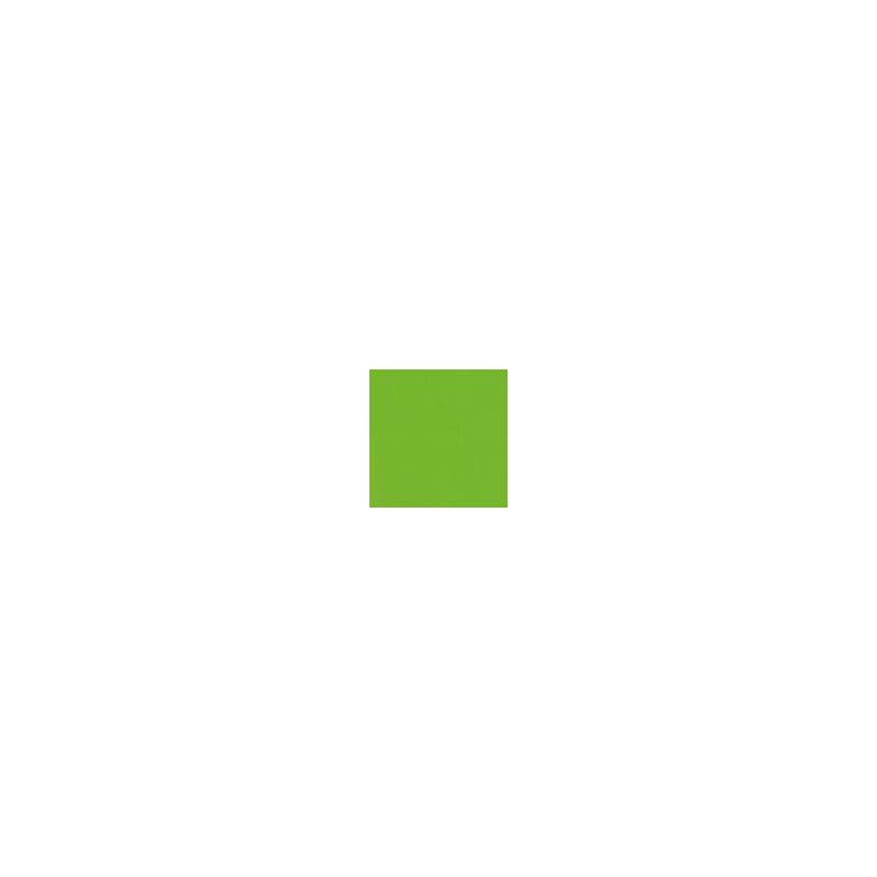 Oracal 641-063 Lime-Tree Green- Lesklá š.0,5m