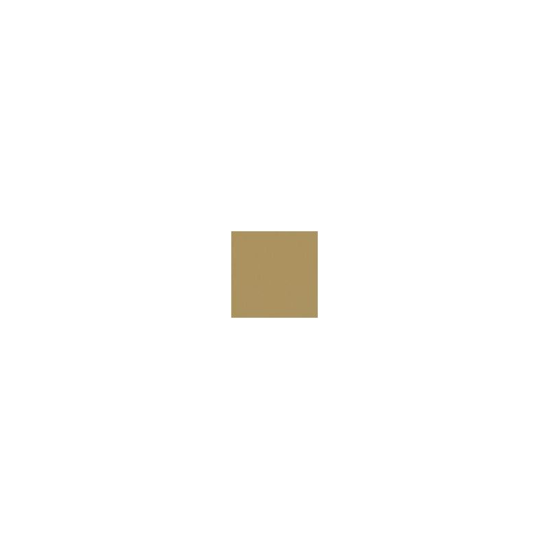 Oracal 641-081 Light Brown- Lesklá š.0,5m